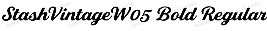 StashVintageW05 Bold Regular字体转换